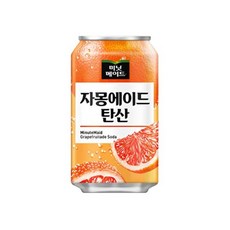 미닛메이드 자몽에이드 탄산, 355ml, 9개