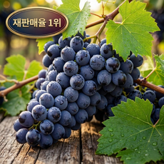 [재판매1위]산지직송 프리미엄 블랙 아도라 포도, 1박스, 2kg