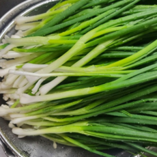 국내산 손질 쪽파 깐쪽파 다듬은 손질한 햇쪽파 잔파 실파, 1개, 1kg