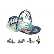 피셔프라이스 아기체육관 피아노 딸랑이2개포함 물세탁가능 네이비 미국배송