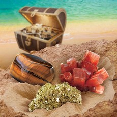 내셔날지오그래픽 화석발굴 보물 남아장난감