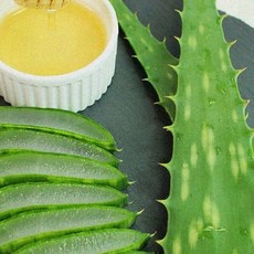 식용 1kg 건강식품 손질 보습 생잎 천연 신선 다육식물 피부진정 가정용, 1개, 1정
