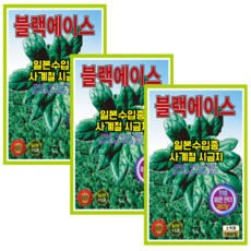 시금치씨앗 3개 일본수입종 사계절 시금치 종자 키우기 텃밭 채소 씨앗