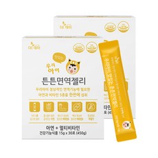 더데이 아기 어린이 키즈 초등학생 아연 튼튼면역젤리 비타민 영양제, 2박스