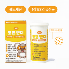 코 유산균 퀘르세틴 브로멜라인 코코쉴드 장 구강유산균 코알라캔디, 1개, 28정