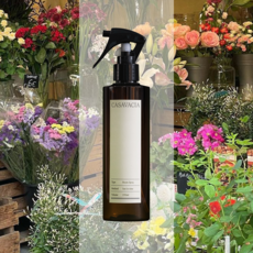 카사바시아 미술관 룸스프레이 섬유향수 멀티퍼퓸 필로우미스트, 1개, 250ml, 플라워 마켓