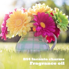 프래그런스 오일 B54 인칸토참 상큼달콤한향, 1개