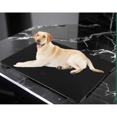 대형견 체중계 반려동물 전자저울 강아지 몸무게 저울, 1개