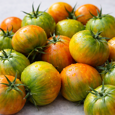 재구매1등 부산 대저토마토 짭짤이 초특가, 1박스, 2.5kg 랜덤과