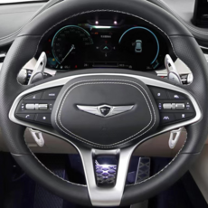 지시그니처 제네시스 G80 G70 GV80 GV70 패들쉬프트 연장킷, H2 실버