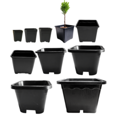 <국내생산> (다육 식물 화분) 플라스틱 사각 화분 모음 6cm~27cm 사각 플분, 검정