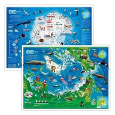 番茄書屋 兒童房掛圖 2張 北極地區 南極地區 啟蒙地理百科知識地圖, 如圖, 1個