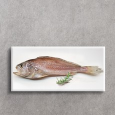 반건조 침조기 소 중 대 특대 (망미중앙시장 부자생선), 침조기47cm1마리, 1개