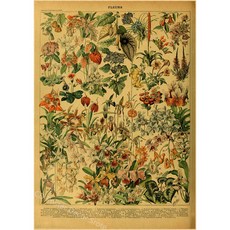 DS OG 나비 곤충 카페 식물 미술 버섯 빈티지 종이 DIY 벽화 교육 장식 크래프트, A3, 9, 1개