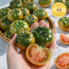 [부산농협인증]로얄과ONLY 부산 대저토마토 짭짤이 토마토, 1박스, 1kg(S)