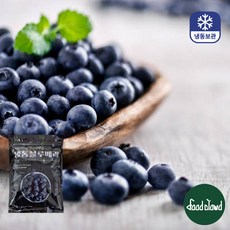 고당도 A급 프리미엄 냉동 블루베리, 1개, 1kg