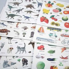 동물실사자석 모양 고무자석 285x220 3T, 채소