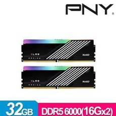 PNY MAKO RGB DDR5 6000 32GB (16Gx2) 桌上型電競記憶體, 1個