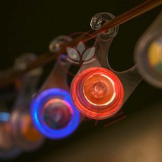 LED 스트링가드, 블루