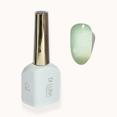 [디루나] 컬러젤 88종 시럽젤 자석젤 젤네일 낱개, 1개, 디루나 88종 #88