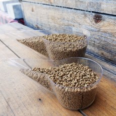 小鮮肉肉 鴨嘴勺介質萬用勺組(大小) 萬用匙 介質鏟 肥料鏟 透明匙 多肉植物工具, 1個, 透明