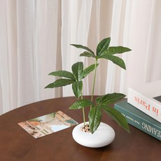 flowertree 香港鵝掌柴盆栽套組 人造花, 混合顏色