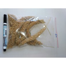 來成鳥園 小米穗 鸚鵡倉鼠鳥類點心飼料 寵物零食, 1個, 70元/份
