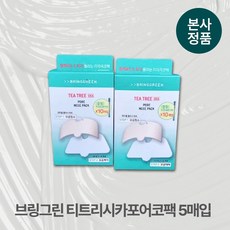 [본사정품/1+1] 대용량 브링그린 저자극 모공케어 티트리시카포어코팩 병풀추출물 비건, 5개입, 4개