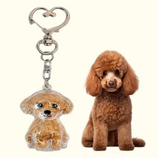 강아지 고양이 털 키링 보관 선물 캡슐 메모리얼 펫로스 반려동물, 뽀글멍