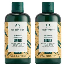더바디샵 진저 스캘프 케어 샴푸, 2개, 250ml