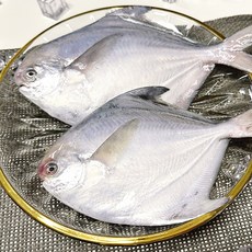 [푸드공작소] 당일조업 국산 횟감용 생물 병어 비손질 1kg(8미내외), 1개, 1kg(8미 내외)