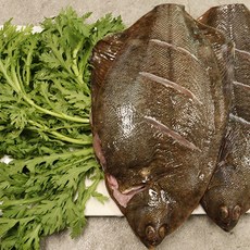 서천어부의 도다리 쑥 세트 800g 내외, 2개