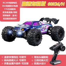 RC카 입문용 라이트 4륜구동 rc카 모형차 경기 조종 성인 75KM 무선 원격 수상부상, 단일 배터리, SCY 보라색 새, 1개