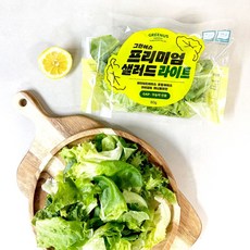그린어스샐러드 무농약 친환경 유러피안 샐러드 간편 파우치, 10개, 100g