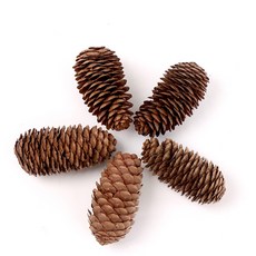 인조 솔방울 인테리어 공예 장식 소품 길쭉6-8센치