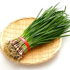 전라도 익산 노지 풋마늘 대용량 반찬용 특상품, 1개, 4kg(2단)