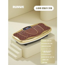 바디슬리머 마사지 홈트 기구 실내 덜덜이, E. 24개 업그레이드된 대형 패션 쉐이킹 머신 골드