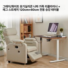 꾸꾸상점 1인수동리클라이너 소파 인수동리클라이너, 1인용, 69x77x110cm, 그레이화이트 전동 높이조절 테이블 120x60 cm