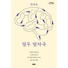 열두 발자국(리커버 에디션)(큰글자도서), 어크로스, 정재승 저