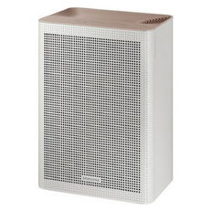 삼성전자 블루스카이 공기청정기 33.1㎡, AX033B310GBD, 그레이지 + 베이지