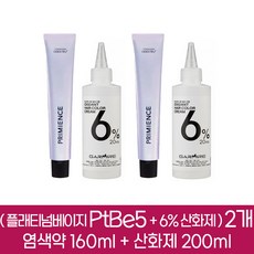 시세이도 프리미언스 엔리치 염색약 PtBe5 2개분 ( 1제 160g + 2제 6% 산화제 200ml ), 2개