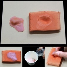 조개화석 만들기 알지네이트 클레이 과학놀이키트 화석이 만들어지는 과정학습 (6인용)