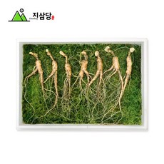 지삼당 산양산삼 직파자연산삼 효도선물 명절 12년근 7뿌리, 1세트, 105g