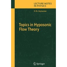 (영문도서)Topics in Hyposonic Flow Theory Paperback, Springer, English, 9783642064951 Springer, English, 9783642064951