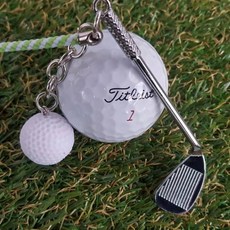 아이언 골프티걸이 티꽂이 4개 1세트판매 필드용품 골프 악세사리, 단일상품1