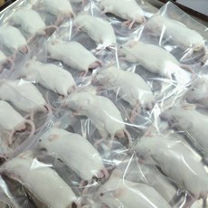 마우스 특특대 42-60g 마렛트 냉동쥐 뱀먹이 냉동마우스 파충류용품 파충류먹이, 1개, 1L, 특특대 42~60g 1마리