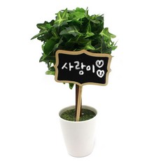블랙보드 원목팻말, 기타