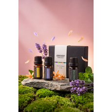 차이첸 퓨어 에센셜오일 세트, 3개, 10ml, 1세트