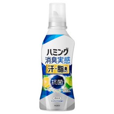 Humming 強效除臭衣物柔軟精 汗味 體味專用 柑橘香 本體 500ml, 1個, 1g