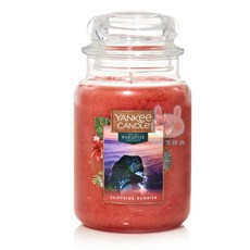 【Yankee Candle 揚基】香氛蠟燭-崖邊日出(22oz/623.7g), 1件, 623.7g, 崖邊日出